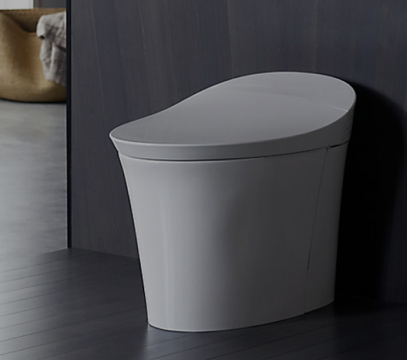 Kohler Toilet