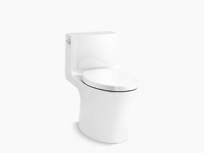 Toilet without seat