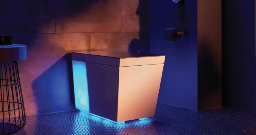 Kohler Wall Hung Toilet Seat