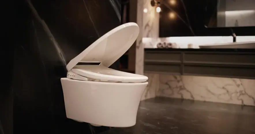 Kohler Toilet Hygiene